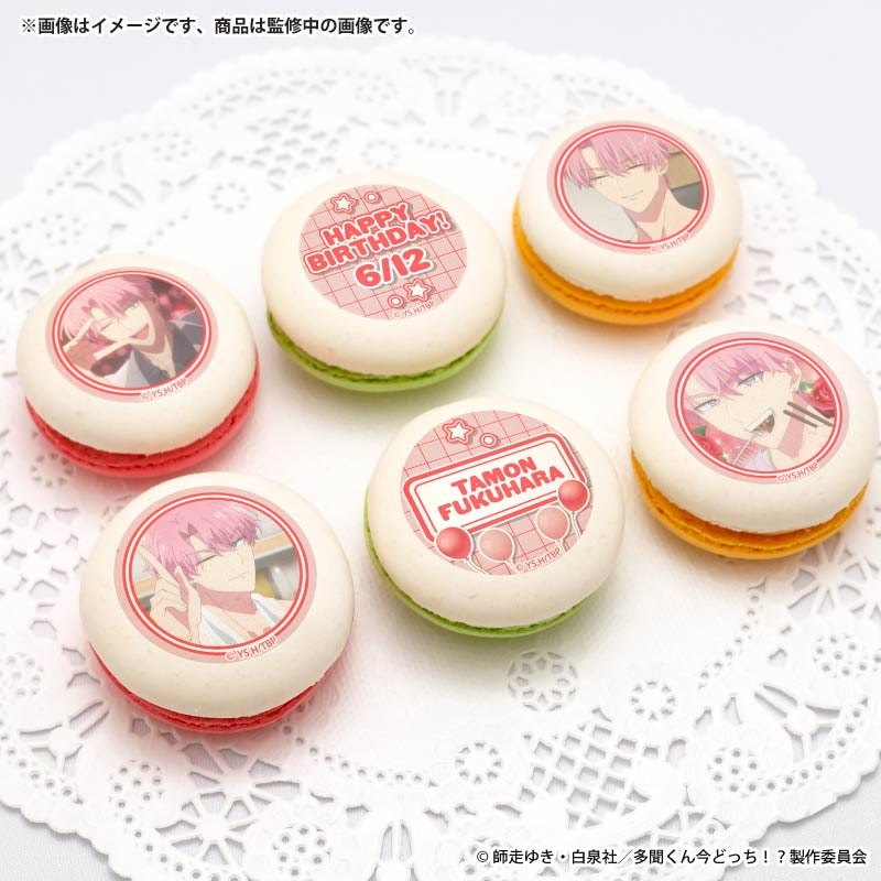 バースデープリマカロン6個セット2026（福原多聞(イケ原)）【特典缶