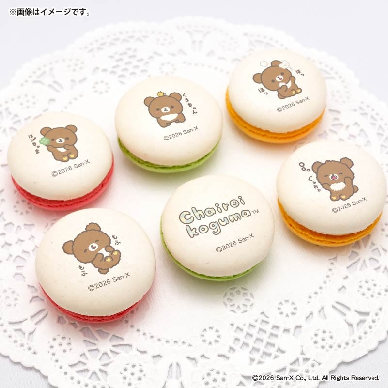 チャイロイコグマ10周年記念プリマカロン6個セット2026（A柄）【特典缶