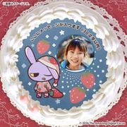 �ڼ̿���å���������ۥץꥱ����2026�ʥ���å����ˡ���ŵ�̥Хå��դ���[���ᥤ���󥰥ǥ����륵������]