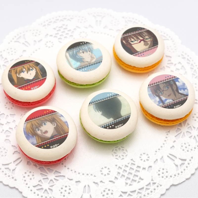 �ץ�ޥ�����6�ĥ��å�2024�ʥ쥤�����������ޥ�ˡ���ŵ�̥Хå��դ���[�������󥲥ꥪ��]