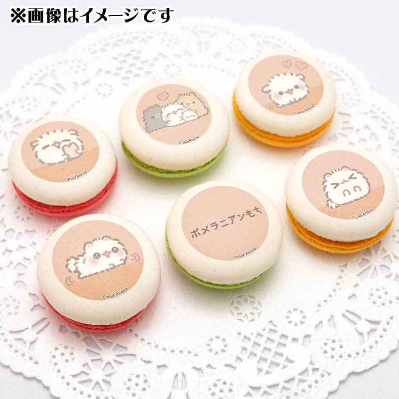 �ץ�ޥ�����6�ĥ��åȡ���ŵ�̥Хå��դ���[�ݥ��˥�����]