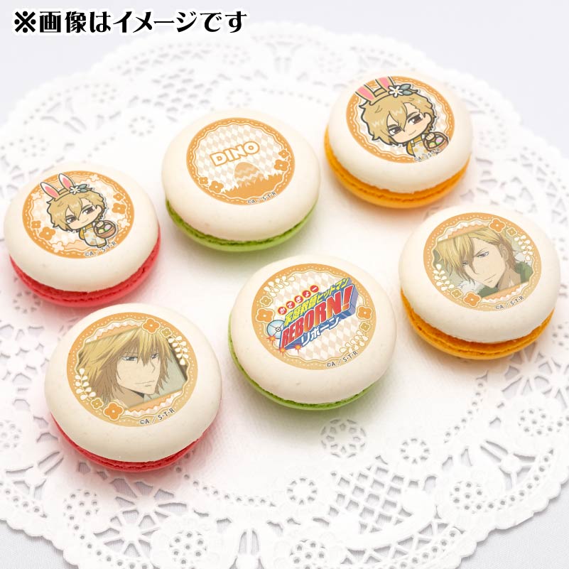 ǥץޥ6ĥåȡʥǥΡˡŵ̥Хåդ[եҥåȥޥREBORN!]