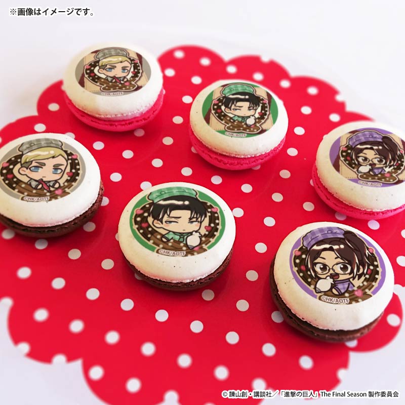 �Х�󥿥���ץ�ޥ�����6�ĥ��å�2026�ʥ�������󡦥��ߥ�������������ϥ󥸡������ˡ���ŵ�̥Хå��դ���[�ʷ�ε��]