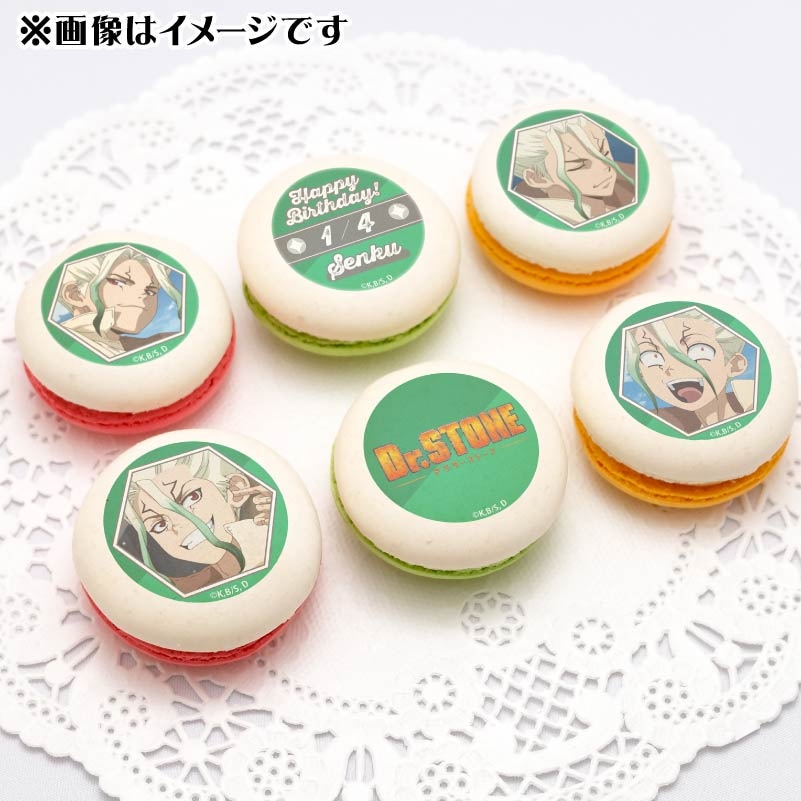 �С����ǡ��ץ�ޥ�����6�ĥ��å�2025���п�����ˡ���ŵ�̥Хå��դ���[Dr.STONE]