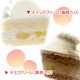 �ڼ̿���å���������ۥץꥱ����(�եǥ�����)����ŵ�̥Хå�:�ϡ��ȷ���[�����ڥ�����]