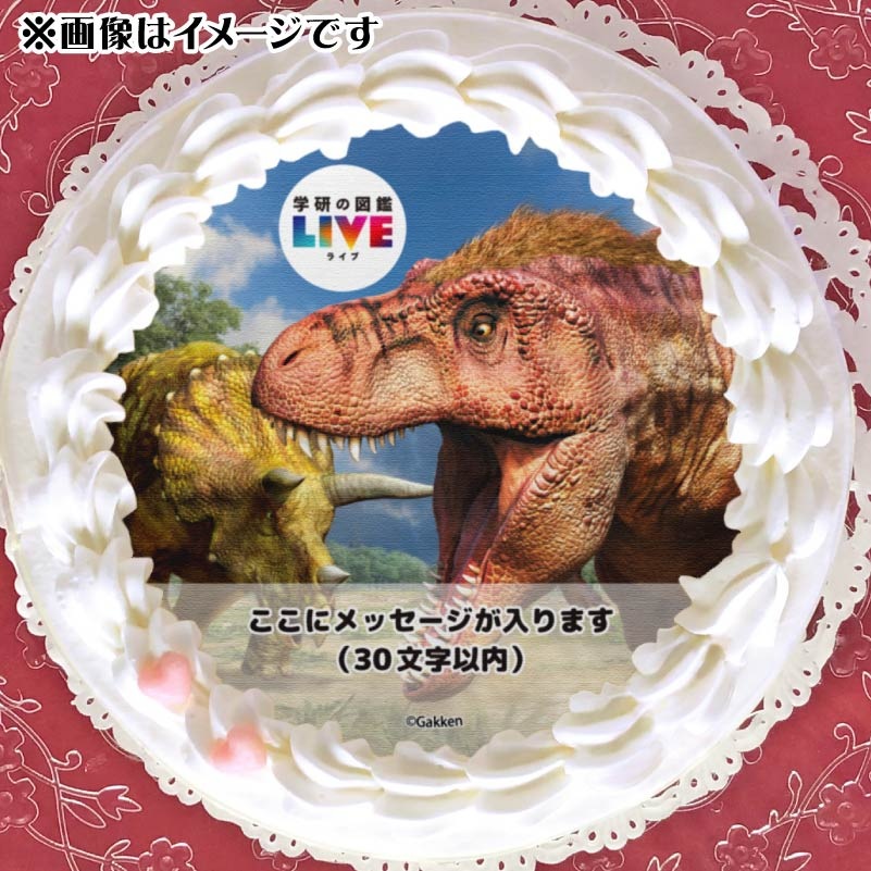 �ڥ�å���������ۥץꥱ�����ʶ�ε�ˡ���ŵ�����ɤޤ��ϴ̥Хå��դ���[�ظ��ο޴�LIVE]