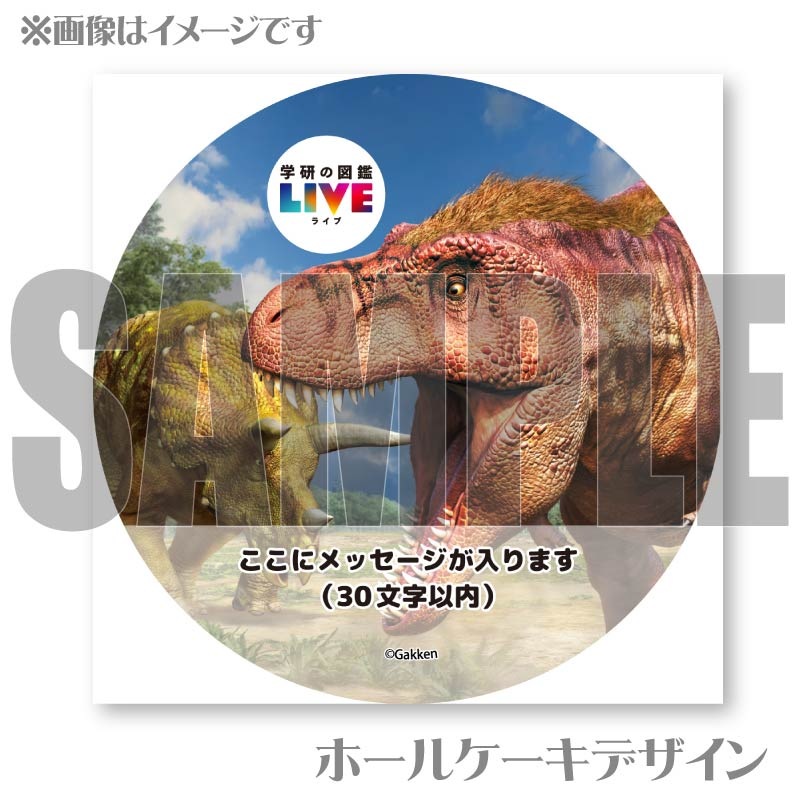 �ڥ�å���������ۥץꥱ�����ʶ�ε�ˡ���ŵ�����ɤޤ��ϴ̥Хå��դ���[�ظ��ο޴�LIVE]