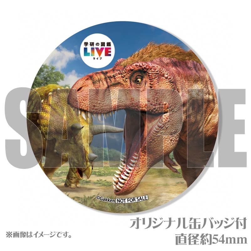 �ڥ�å���������ۥץꥱ�����ʶ�ε�ˡ���ŵ�����ɤޤ��ϴ̥Хå��դ���[�ظ��ο޴�LIVE]