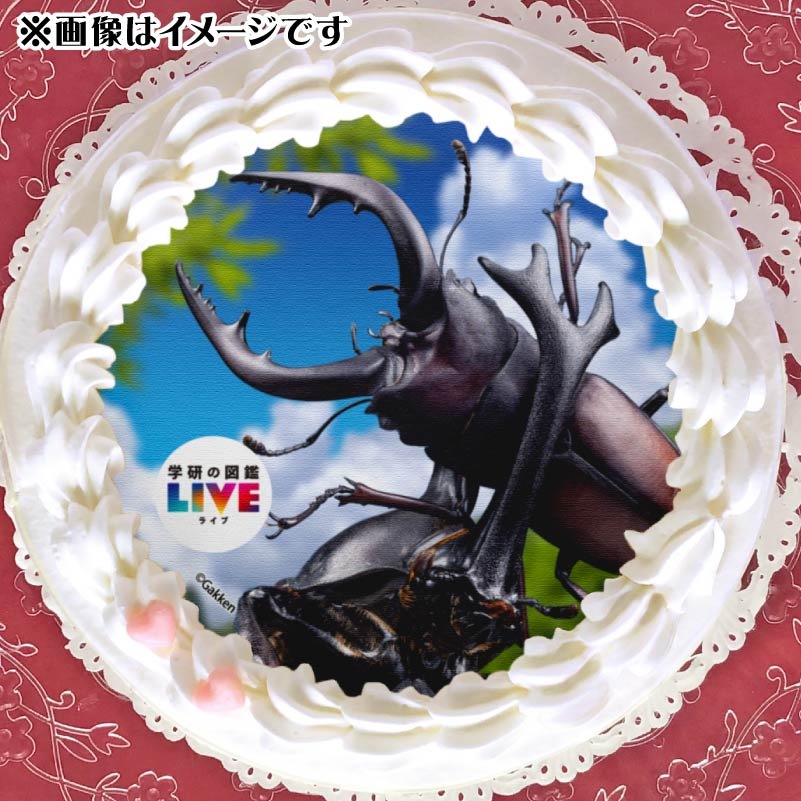 �ץꥱ�����ʺ���ˡ���ŵ�����ɤޤ��ϴ̥Хå��դ���[�ظ��ο޴�LIVE]