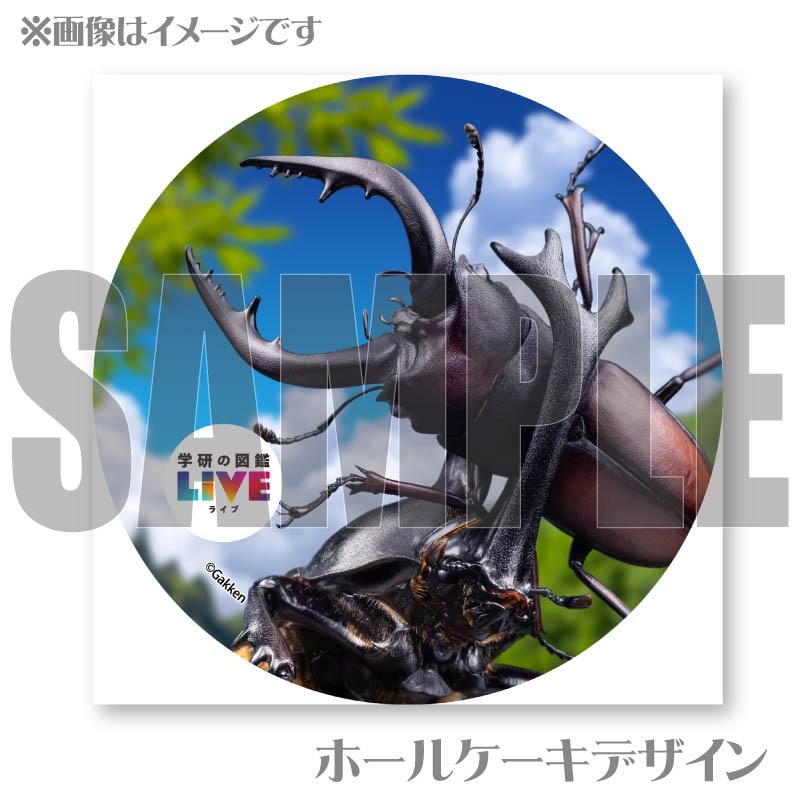 �ץꥱ�����ʺ���ˡ���ŵ�����ɤޤ��ϴ̥Хå��դ���[�ظ��ο޴�LIVE]