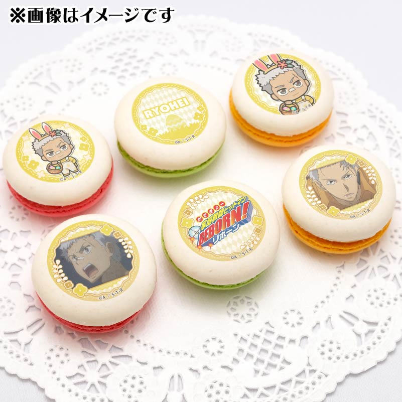 ǥץޥ6ĥåȡʺλʿˡŵ̥Хåդ[եҥåȥޥREBORN!]