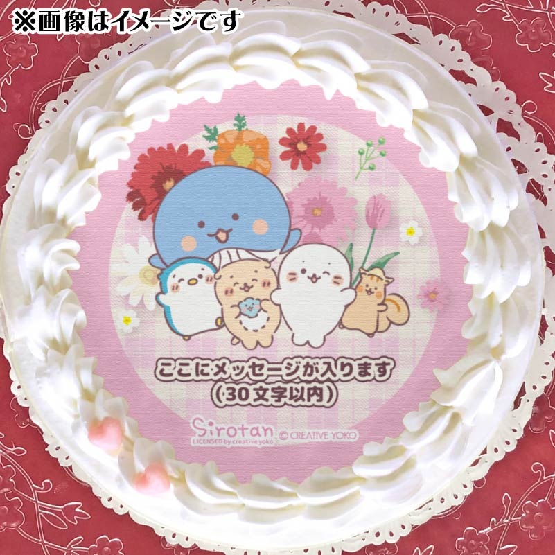 �ڥ�å���������ۥץꥱ�����ʥե������ǥ�ˡ���ŵ�̥Хå��դ���[��������]