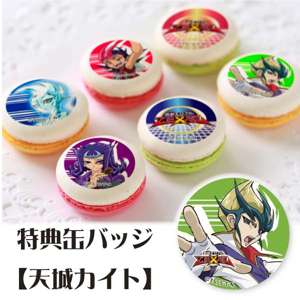 �ץ�ޥ�����6�ĥ��å�(����ŵ�̥Хå�:ŷ�륫���ȡ�)[ͷ��������ZEXAL]