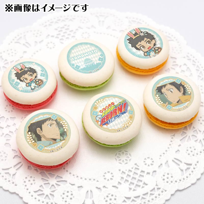 ǥץޥ6ĥåȡʻˡŵ̥Хåդ[եҥåȥޥREBORN!]