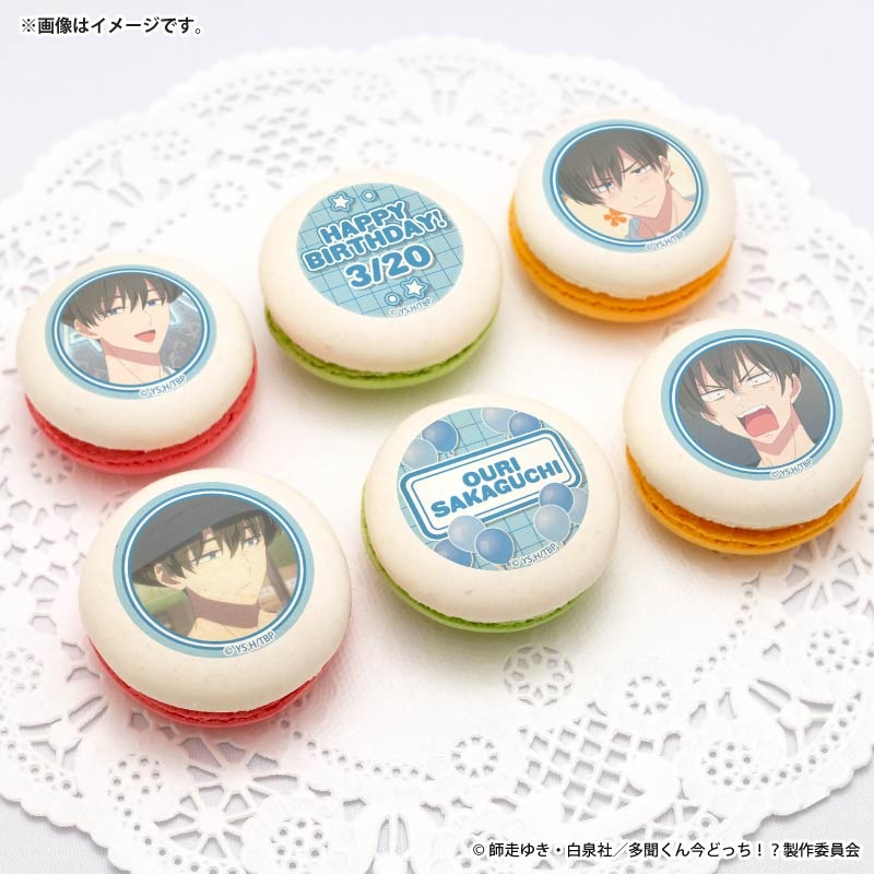 �С����ǡ��ץ�ޥ�����6�ĥ��å�2026�ʺ�������ˡ���ŵ�̥Хå��դ���[¿ʹ���󺣤ɤä�����]