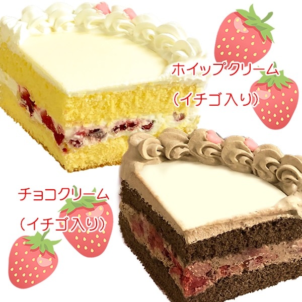 ץꥱŵ̥Хåդ[륻ĥ]