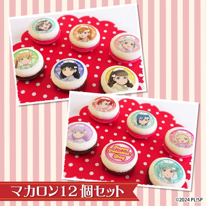 �Х�󥿥���ץ�ޥ�����12�ĥ��å�2026�ʽ���ˡ���ŵ���饹�ȥ������դ���[��֥饤�֡������ѡ�������!!]