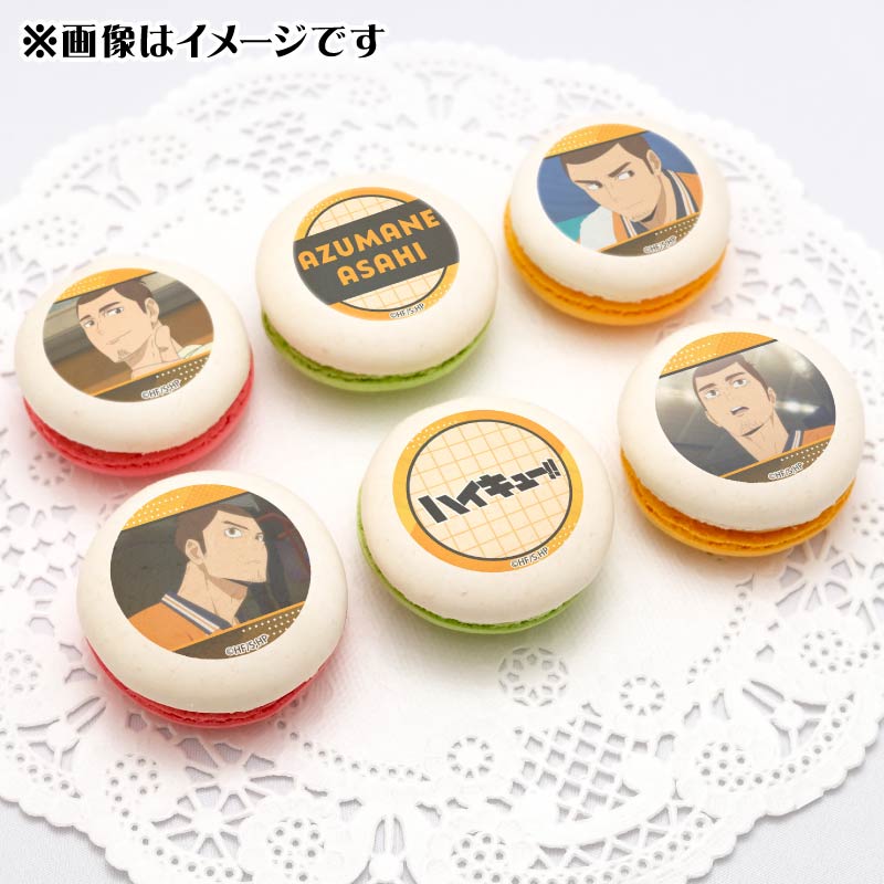 �ץ�ޥ�����6�ĥ��å�2025������ ���ˡ���ŵ�̥Хå��դ���[�ϥ����塼!!]