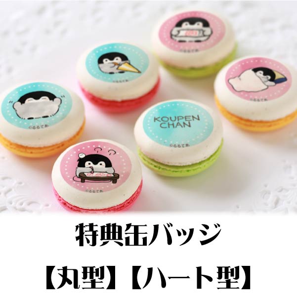 �ץ�ޥ�����6�ĥ��åȡʤ��餤���ˡ���ŵ�̥Хå��դ���[�����ڥ�����]