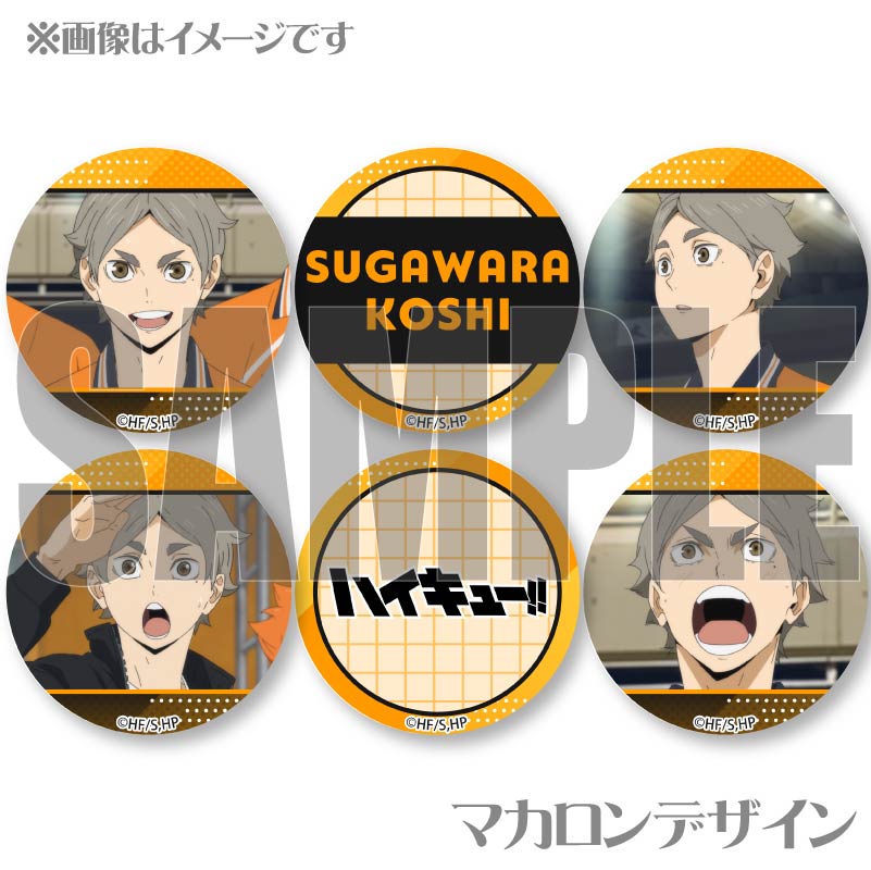 �ץ�ޥ�����6�ĥ��å�2025�ʿ������١ˡ���ŵ�̥Хå��դ���[�ϥ����塼!!]