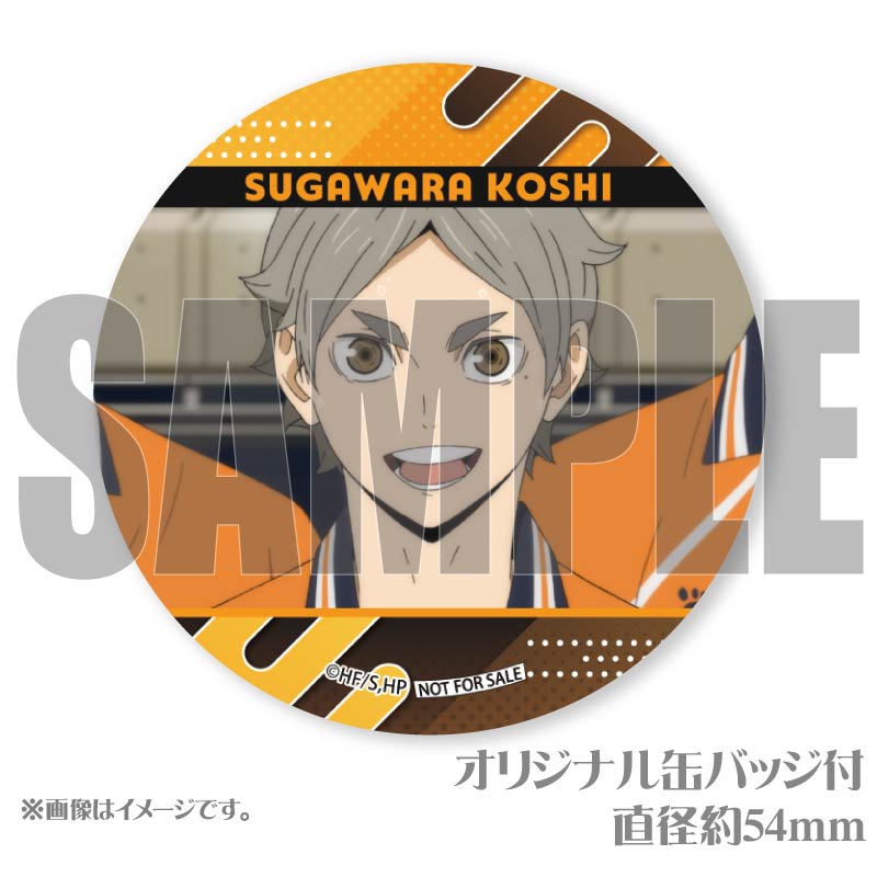 �ץ�ޥ�����6�ĥ��å�2025�ʿ������١ˡ���ŵ�̥Хå��դ���[�ϥ����塼!!]