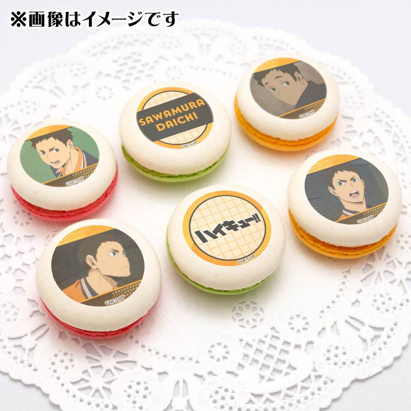 �ץ�ޥ�����6�ĥ��å�2025��߷¼���ϡˡ���ŵ�̥Хå��դ���[�ϥ����塼!!]