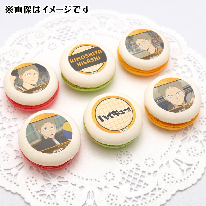 �ץ�ޥ�����6�ĥ��å�2025���ڲ��׻֡ˡ���ŵ�̥Хå��դ���[�ϥ����塼!!]