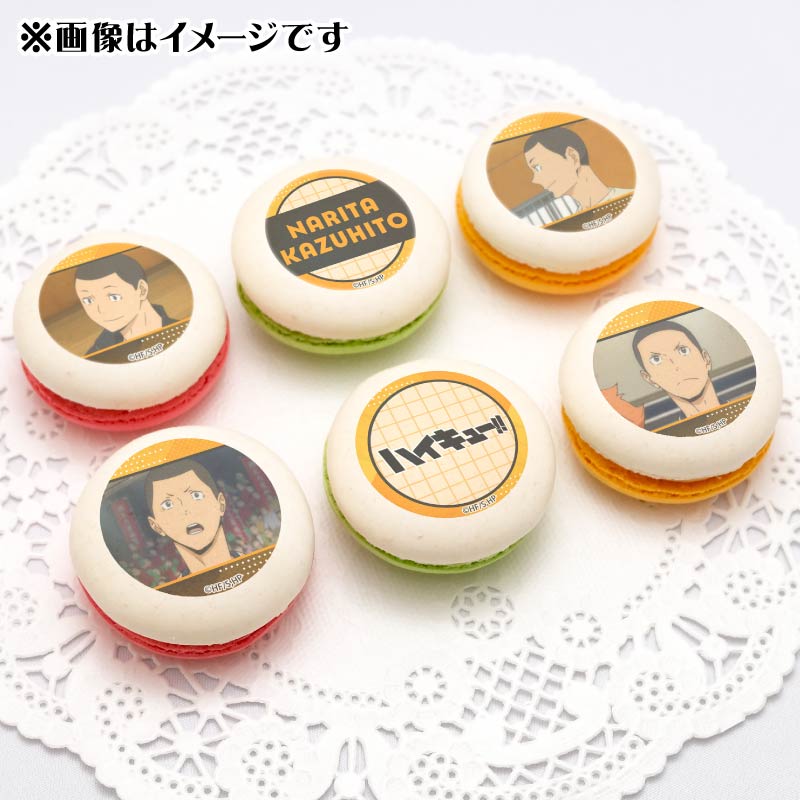 �ץ�ޥ�����6�ĥ��å�2025�����İ�Ρˡ���ŵ�̥Хå��դ���[�ϥ����塼!!]