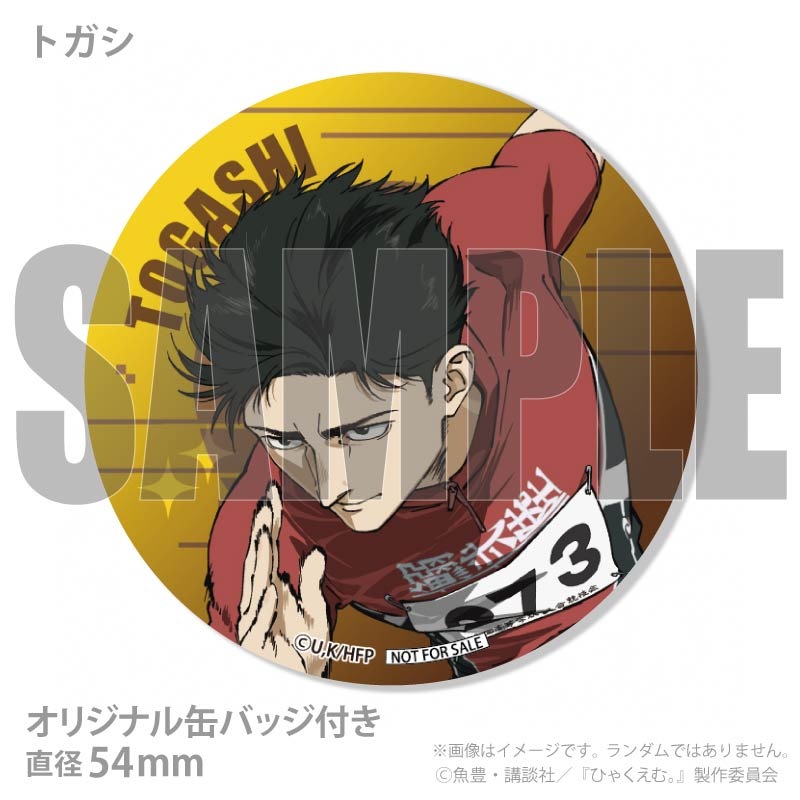 �Х�󥿥���ץ�ޥ�����6�ĥ��å�2026����ŵ�̥Хå��դ���[�Ҥ㤯���ࡣ]