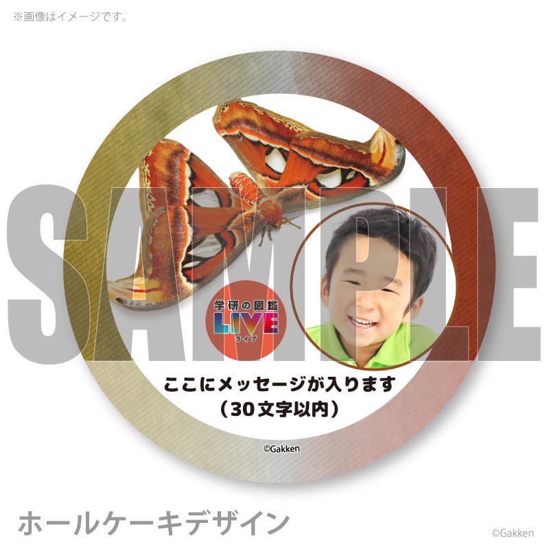 �ڼ̿���å���������ۥץꥱ�����ʥ�ʥ��˥���ˡ���ŵ�����ɤޤ��ϴ̥Хå��դ���[�ظ��ο޴�LIVE]