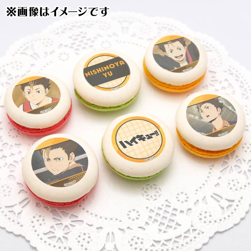 �ץ�ޥ�����6�ĥ��å�2025����ë ͼ�ˡ���ŵ�̥Хå��դ���[�ϥ����塼!!]