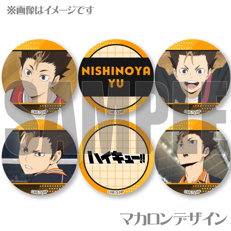 �ץ�ޥ�����6�ĥ��å�2025����ë ͼ�ˡ���ŵ�̥Хå��դ���[�ϥ����塼!!]