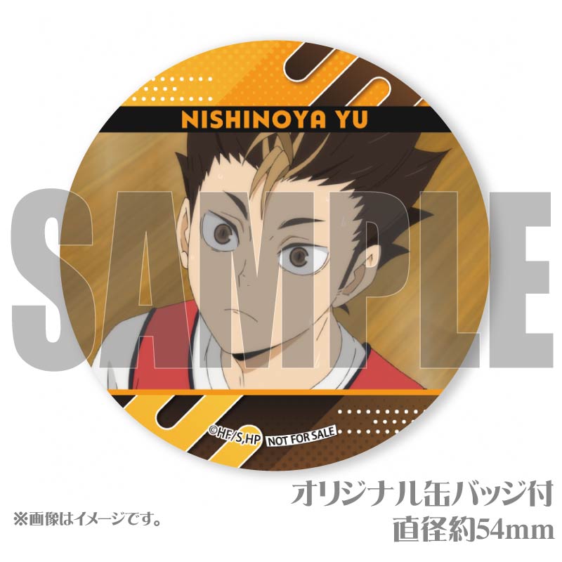 �ץ�ޥ�����6�ĥ��å�2025����ë ͼ�ˡ���ŵ�̥Хå��դ���[�ϥ����塼!!]