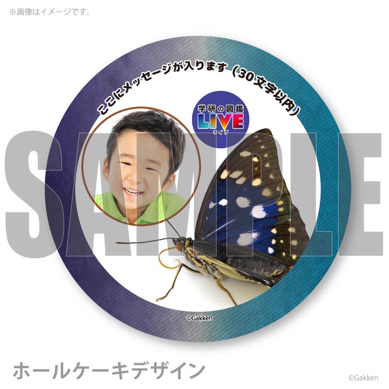 �ڼ̿���å���������ۥץꥱ�����ʥ�����饵���ˡ���ŵ�����ɤޤ��ϴ̥Хå��դ���[�ظ��ο޴�LIVE]