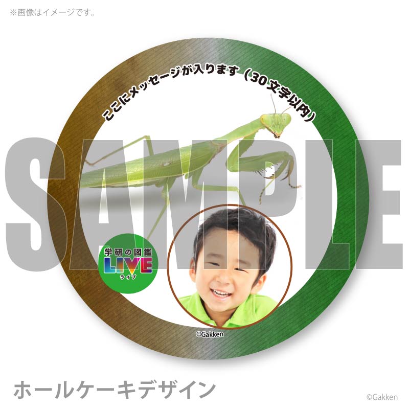 �ڼ̿���å���������ۥץꥱ�����ʥϥ�ӥ����ޥ���ˡ���ŵ�����ɤޤ��ϴ̥Хå��դ���[�ظ��ο޴�LIVE]