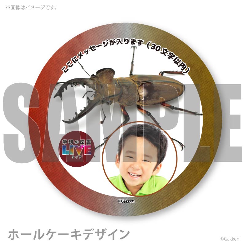 �ڼ̿���å���������ۥץꥱ�����ʥߥ�ޥ��塞���ˡ���ŵ�����ɤޤ��ϴ̥Хå��դ���[�ظ��ο޴�LIVE]