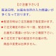 ץޥ6ĥå2024ʥ&ˡΡˡŵ̥Хåդ[ACCA13ƻ]