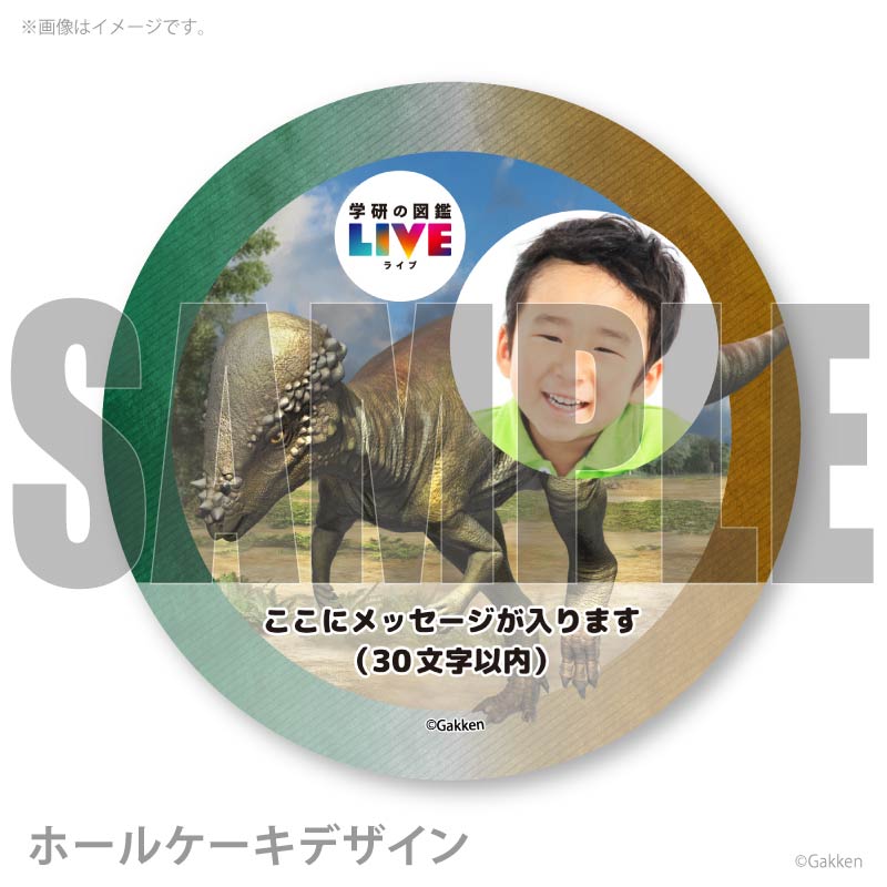 �ڼ̿���å���������ۥץꥱ�����ʥѥ����ե��������륹�ˡ���ŵ�����ɤޤ��ϴ̥Хå��դ���[�ظ��ο޴�LIVE]