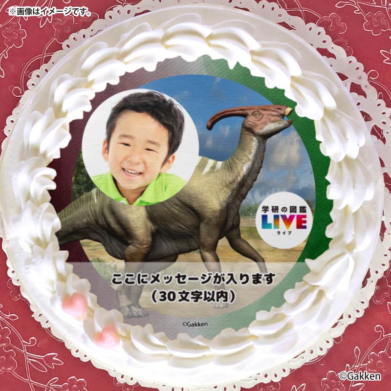 �ڼ̿���å���������ۥץꥱ�����ʥѥ饵�������ե��ˡ���ŵ�����ɤޤ��ϴ̥Хå��դ���[�ظ��ο޴�LIVE]