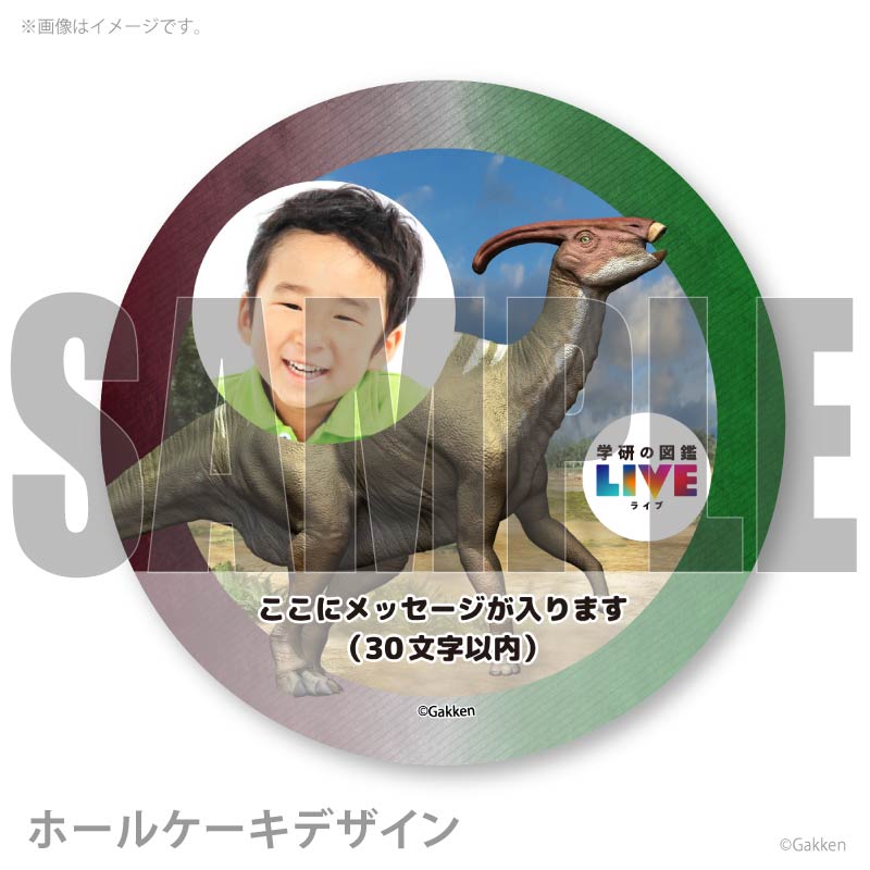 �ڼ̿���å���������ۥץꥱ�����ʥѥ饵�������ե��ˡ���ŵ�����ɤޤ��ϴ̥Хå��դ���[�ظ��ο޴�LIVE]