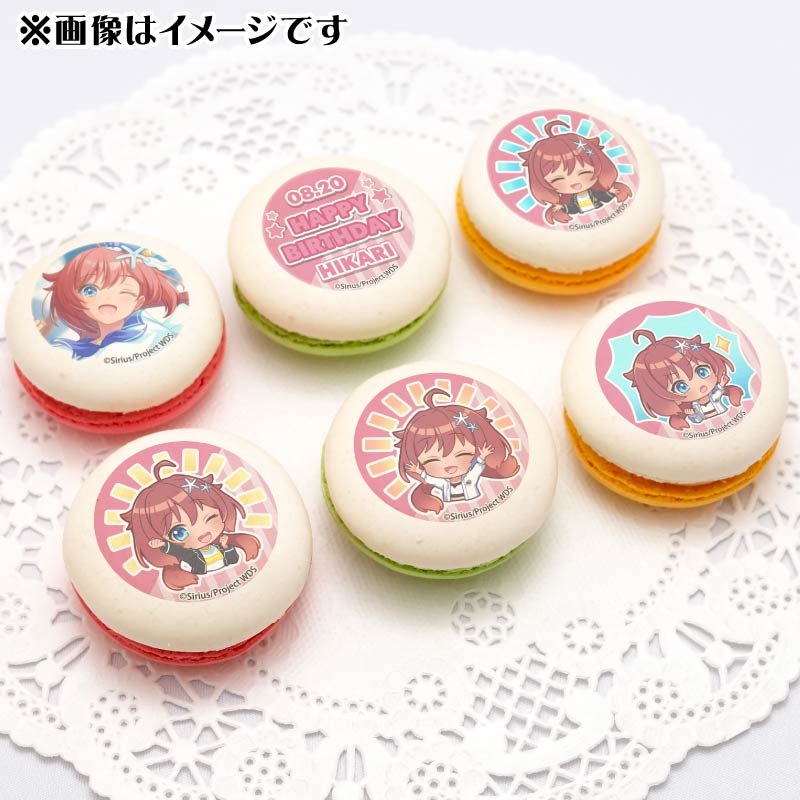 �С����ǡ��ץ�ޥ�����6�ĥ��å�2024��Ϳ��� ���Τ�ˡ���ŵ�̥Хå��դ���[���ɥ���������]