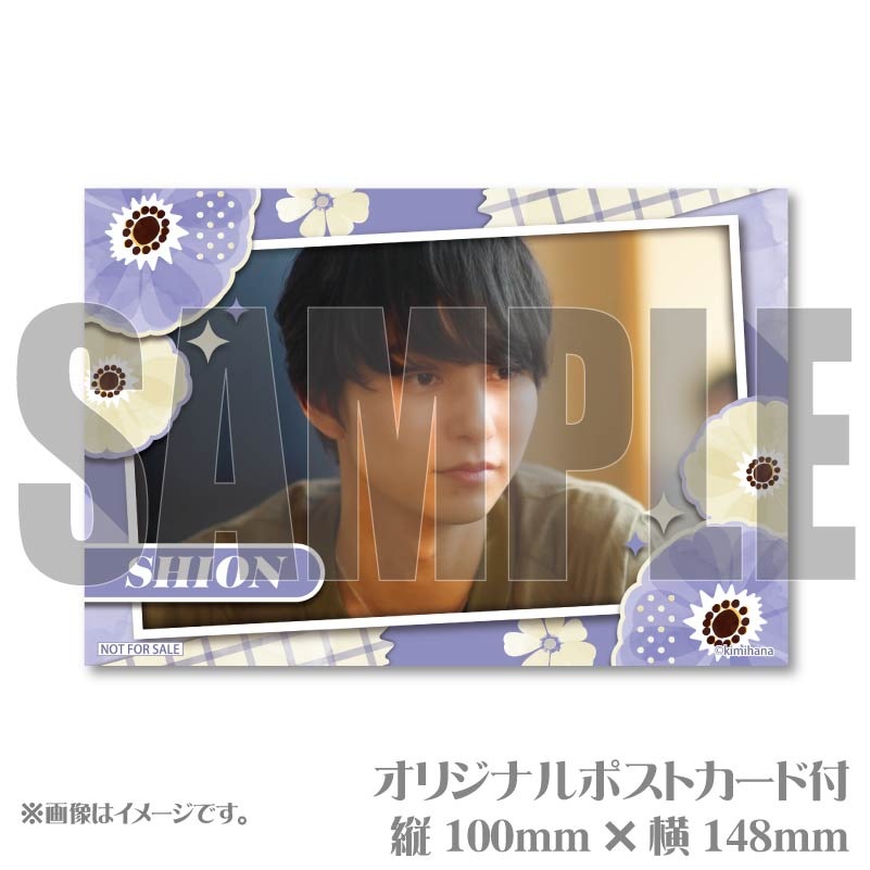 �ץ�ޥ�����6�ĥ��åȡʰ˷� �粻�ˡ���ŵ�ݥ��ȥ������դ���[���ߤϤʡ������Ϥ���֤��ȤС�]