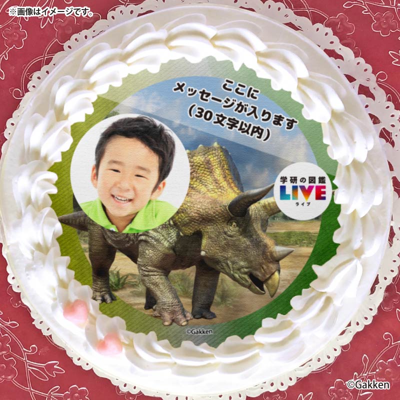 �ڼ̿���å���������ۥץꥱ�����ʥȥꥱ��ȥץ��ˡ���ŵ�����ɤޤ��ϴ̥Хå��դ���[�ظ��ο޴�LIVE]