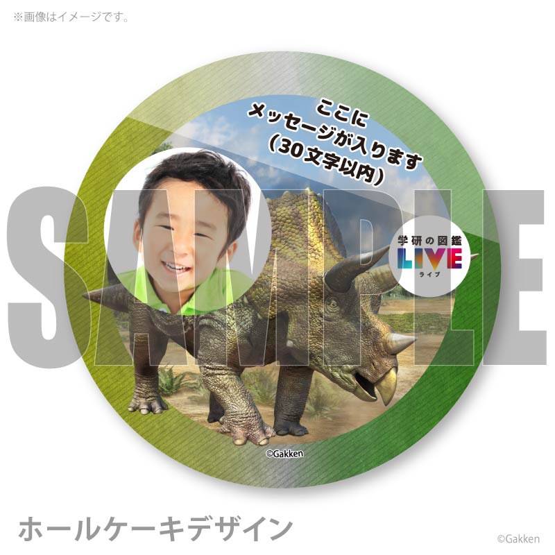 �ڼ̿���å���������ۥץꥱ�����ʥȥꥱ��ȥץ��ˡ���ŵ�����ɤޤ��ϴ̥Хå��դ���[�ظ��ο޴�LIVE]