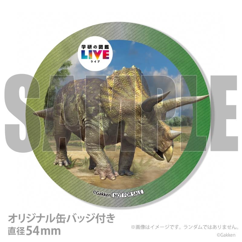 �ڼ̿���å���������ۥץꥱ�����ʥȥꥱ��ȥץ��ˡ���ŵ�����ɤޤ��ϴ̥Хå��դ���[�ظ��ο޴�LIVE]