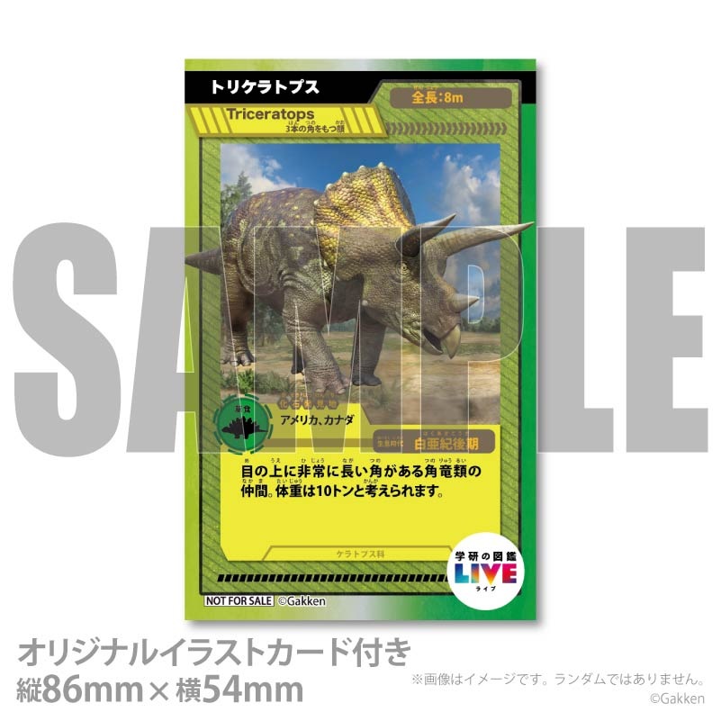 �ڼ̿���å���������ۥץꥱ�����ʥȥꥱ��ȥץ��ˡ���ŵ�����ɤޤ��ϴ̥Хå��դ���[�ظ��ο޴�LIVE]