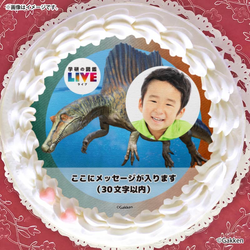 �ڼ̿���å���������ۥץꥱ�����ʥ��ԥΥ����륹�ˡ���ŵ�����ɤޤ��ϴ̥Хå��դ���[�ظ��ο޴�LIVE]