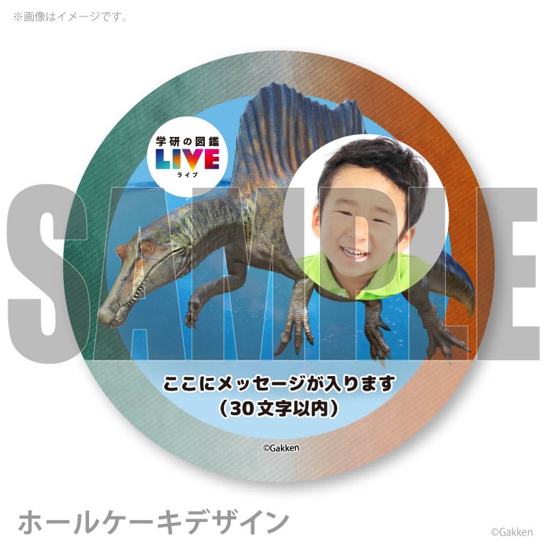 �ڼ̿���å���������ۥץꥱ�����ʥ��ԥΥ����륹�ˡ���ŵ�����ɤޤ��ϴ̥Хå��դ���[�ظ��ο޴�LIVE]