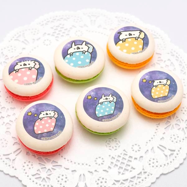 �ץ�ޥ�����6�ĥ��åȡʤ��դȤ�ǥ�����ˡ���ŵ�̥Хå��դ���[���������]