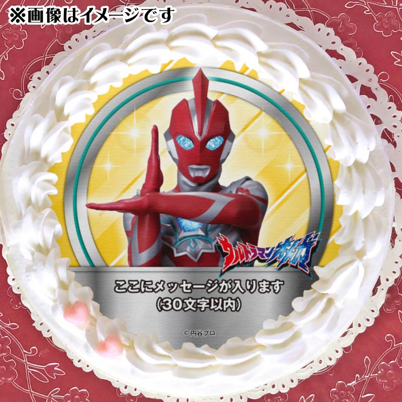 �ڥ�å���������ۥץꥱ�����ʥ���ȥ�ޥ󥪥ᥬA�ˡ���ŵ�̥Хå��դ���[����ȥ�ޥ󥪥ᥬ]